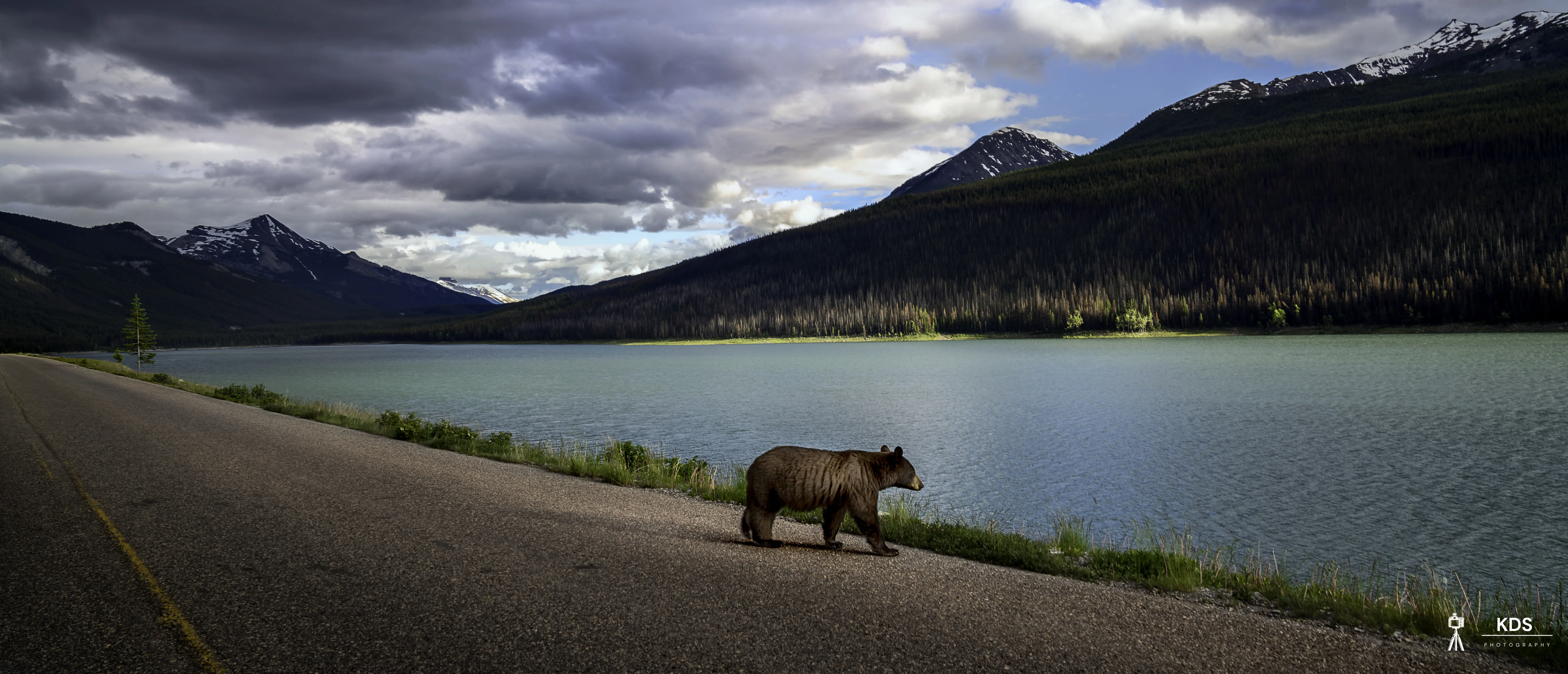 Whispers of Stillness of Bear Medicine Lake